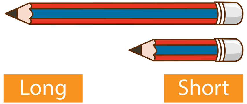 A visual of long and short pencil from class 3 math chapter 10 - Fun At Class Party