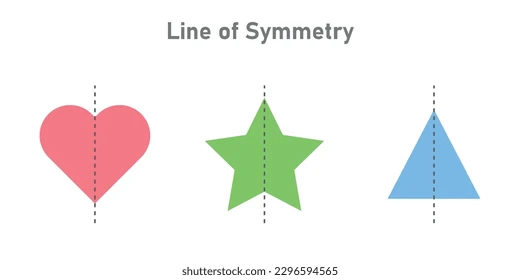 a visual representation of a line of symmetry from class 3 math chapter 14 - line of symmetry