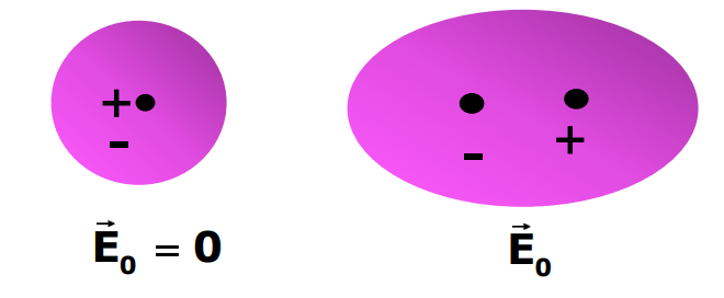 A visual representation of polarization from class 12 physics chapter 2 - Electrostatic Potential and Capacitance