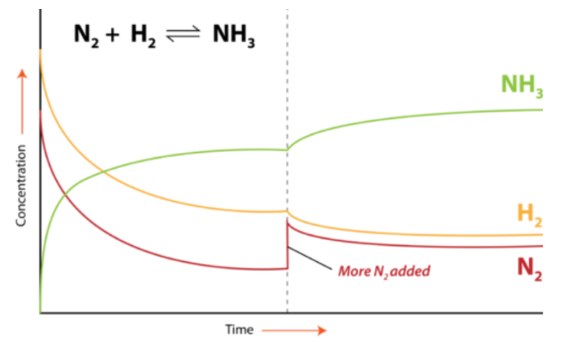 A visual representation of Le Châtelier’s Principle: Restoring Balance from class 11 chemistry chapter 6 - Equilibrium