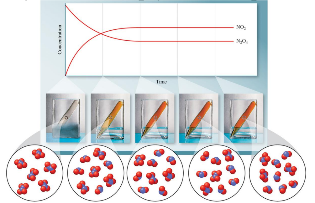 A visual representation of chemical equilibrium from class 11 chemistry chapter 6