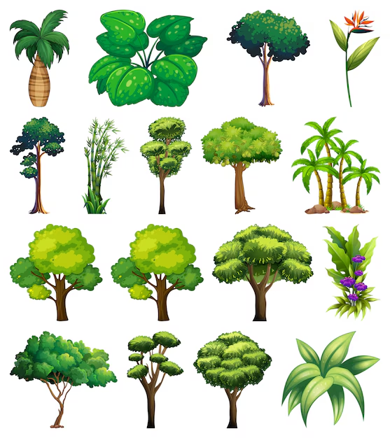 a visual representation of so many kinds of plants from class 3 EVS chapter 4 - Get to know plants