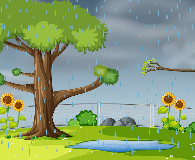 a visual representation of Rain from class 3 EVS chapter 7 - Water - a Precious Gift