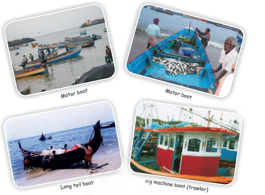 types of boats and fishermen from class 5 math chapter 1 - The Fish Tale