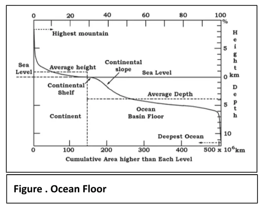 a visual representation of the ocean floor from class 11 Geography chapter 4 - Distribution Of Oceans and Continents